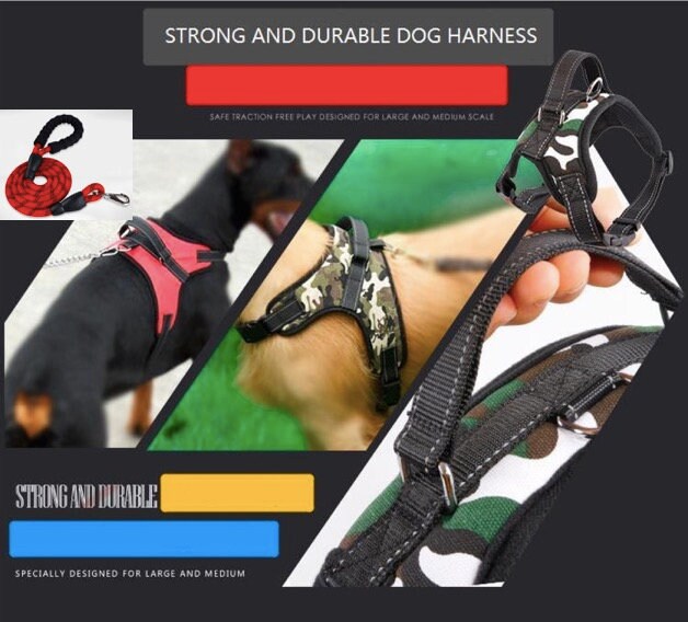 Strong comfortable harness or leash with nice features for Etsy