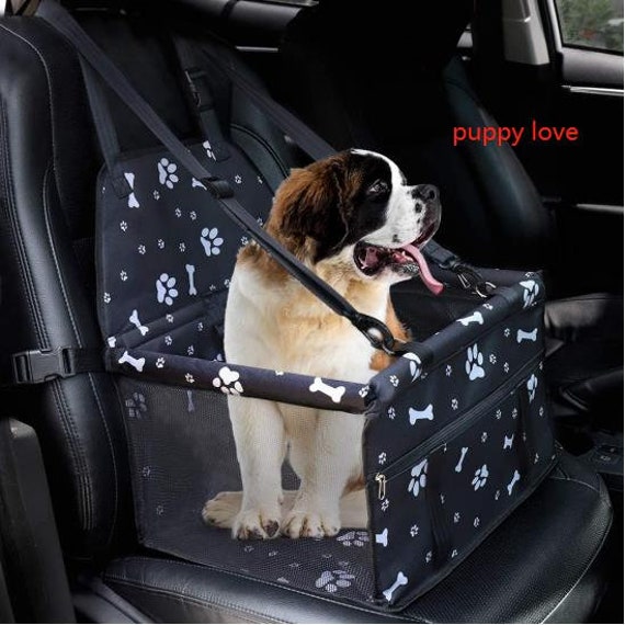 Car seats clearance for little dogs