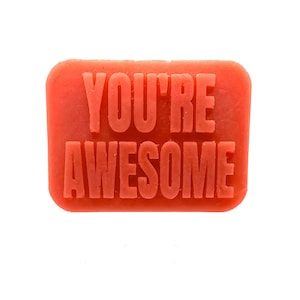 You’re Awesome Soap Gift - Embossed- Handmade, Vegetable Based, Paraben Free, Preservative, Vegan Friendly, Valentines Gift