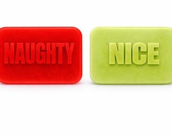 Christmas Are you Naughty or Nice Soap (2Pc) Gift Holiday Gift, Holiday Soap - Handmade, Vegetable Based, Paraben & Preservative Free, Vegan