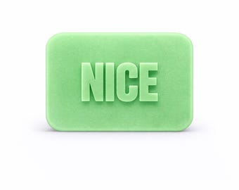 NICE Soap Bar - Novelty Decorative Soap