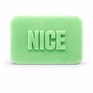 Christmas Nice Soap Bar Handmade Gifts for Gifts for Holidays - Embossed, Vegetable Based, Paraben & Preservative Free, Vegan Friendly