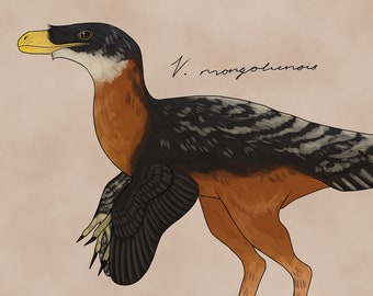 Velociraptor Mongoliensis Print, Paleoart, Velociraptor, Dinosaur, Digital Prints
