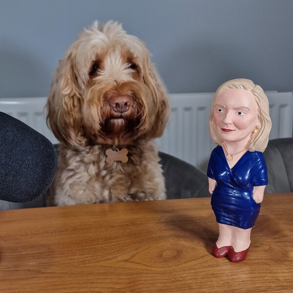 Liz Truss Dog Toy | Politician Dog Toy | Funny Dog Toy | Funny Politician Gift | UK Dog Toy | Funny Squeaky Toy | Liz Truss | UK Politics