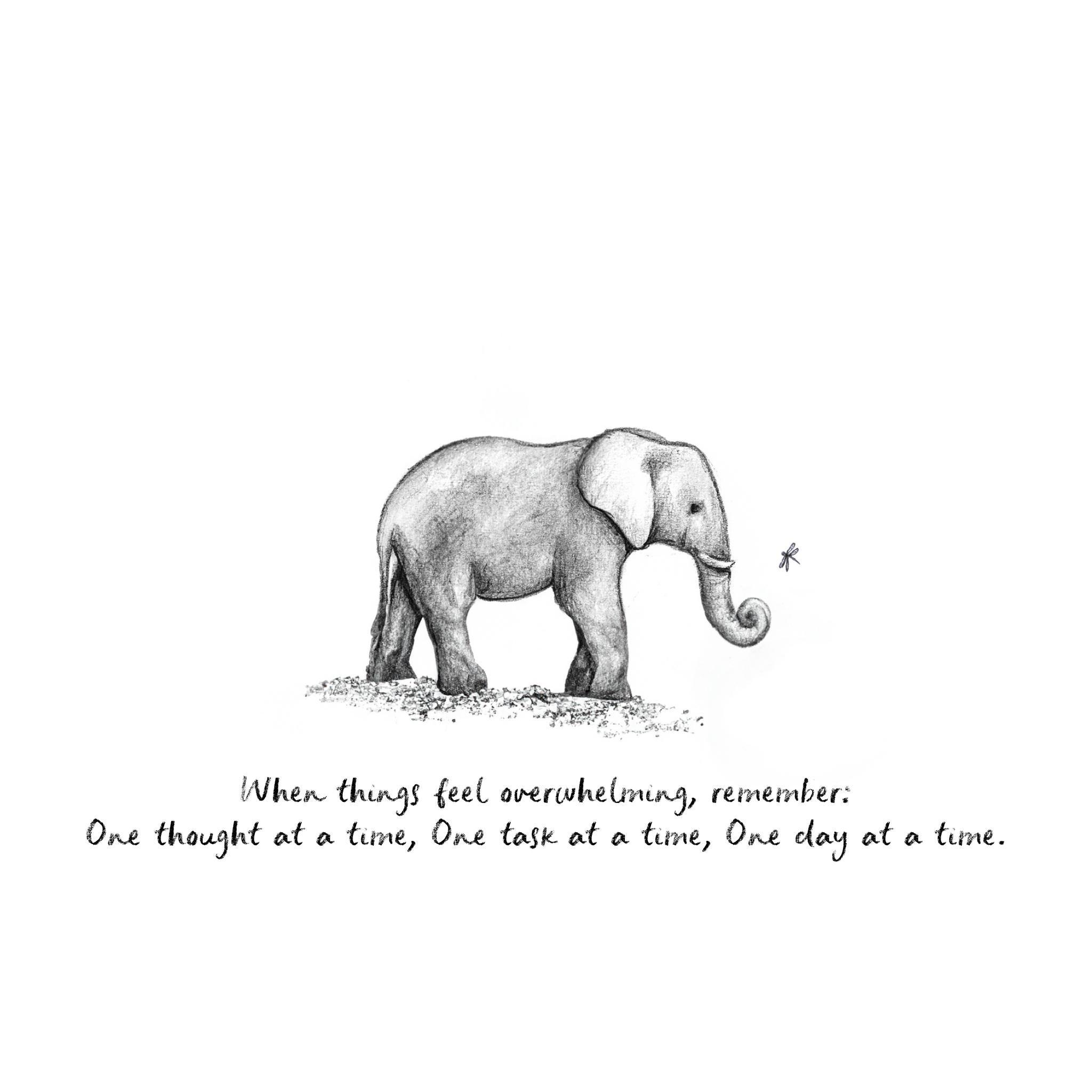A5 Elephant Sketch Print \, image size:2048x2048
