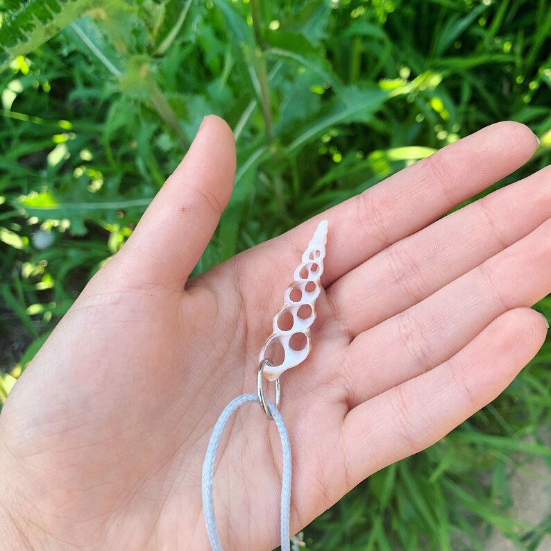 Beautiful And Dainty Cut Sea Shell Boho Choker Necklace