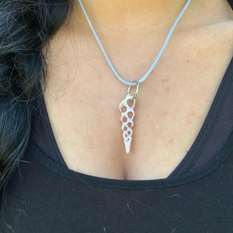 Beautiful And Dainty Cut Sea Shell Boho Choker Necklace