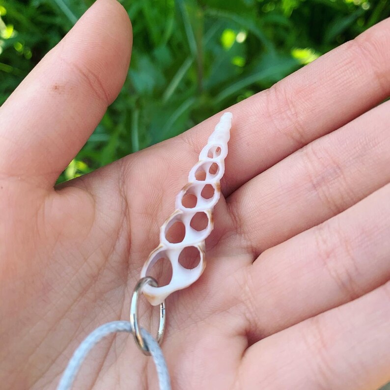 Beautiful And Dainty Cut Sea Shell Boho Choker Necklace