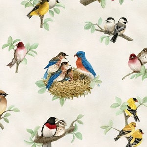 Beautiful Birds Cotton Fabric -  Fat Quarter - By the 1/2 Yard- 100% Cotton - Fabric Material
