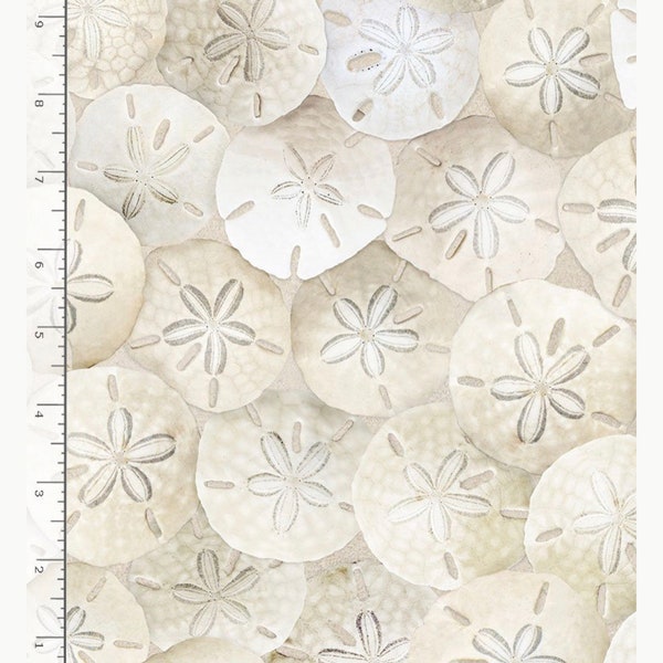 BEACH C8461 SAND PACKED Sand Dollars - Timeless Treasures Fat Quarter - 100% Cotton -