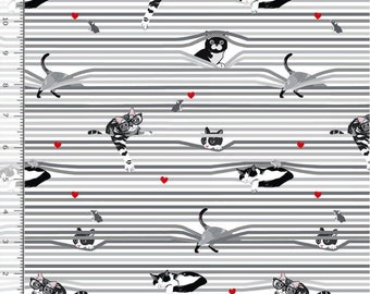 Peekaboo Shade Cats Cotton Fabric - 100% Cotton- Continuous CutsTimeless Treasures CAT CD3020