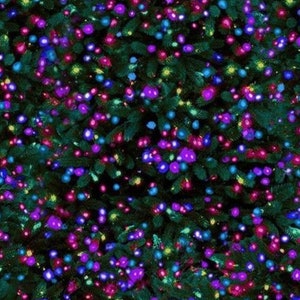 May include: A close-up of a Christmas tree with vibrant, colorful lights. The lights are a mix of purple, blue, and pink, creating a festive and cheerful atmosphere. The tree's green needles provide a contrasting backdrop.