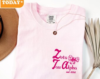 Zeta Tau Alpha Comfort Colors Sorority T-shirt | ZETA Greek Letters | Sorority Gifts | Vintage Tees | Greek Tshirt | -  Bold and Beautiful -