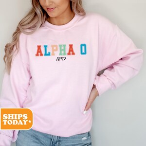 Alpha Omicron Pi Vintage Varsity Sorority Sweatshirt | Alpha O Crewneck Sweatshirt | Sorority Letters | Greek Gifts | Aesthetic Hoodie