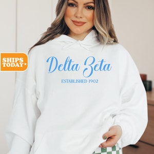 Delta Zeta Sorority Sweatshirt | DEE ZEE Merch | Greek Apparel | DZ Sorority Hoodie | Big Little Basket _ Written in Blue _