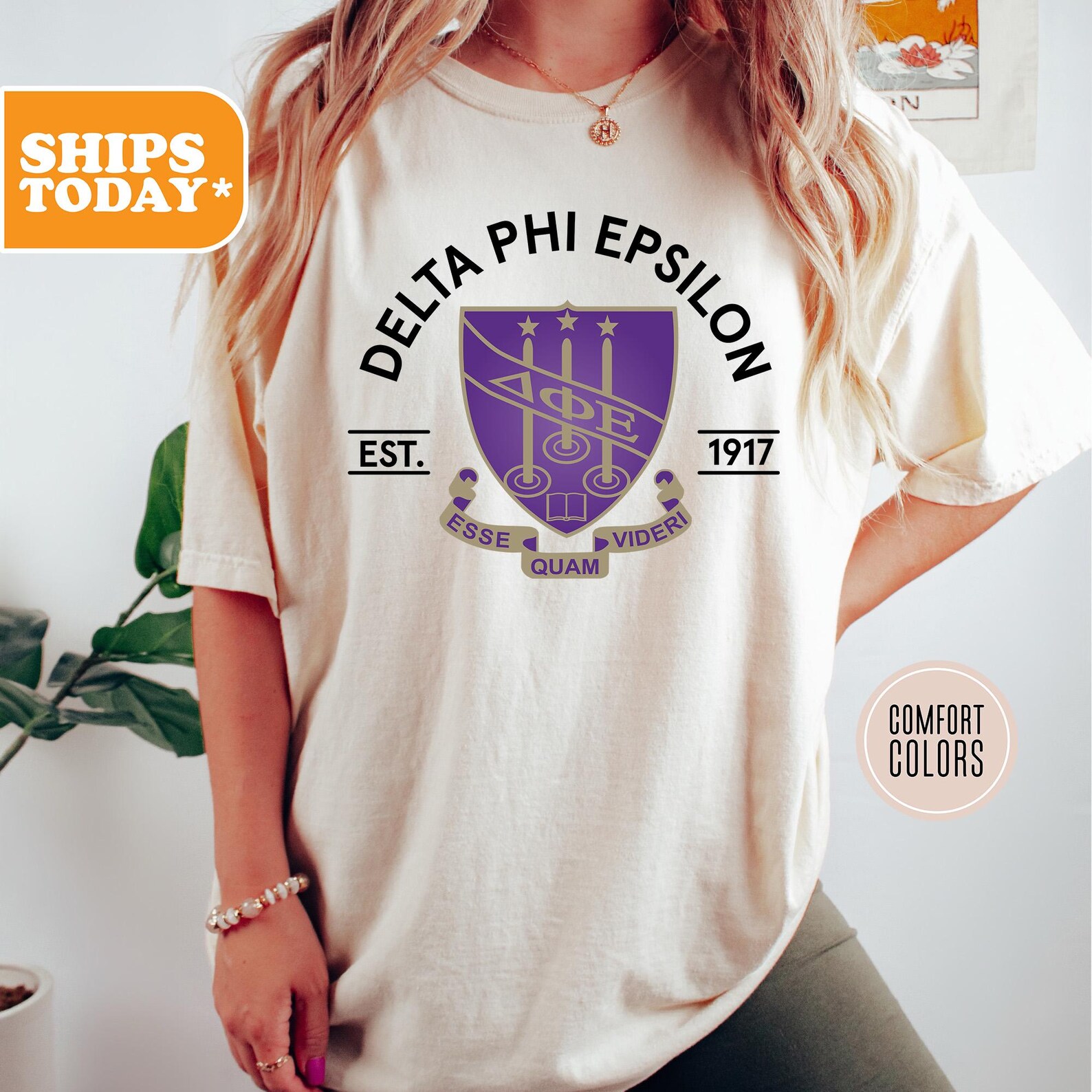 Delta Phi Epsilon Comfort Colors Sorority Tshirt DPHIE Big Little