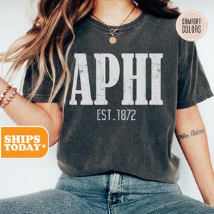 Alpha Phi Rustic Greek Comfort Colors Sorority T-shirt | APHI Sorority Merch | Big Little Shirts | Vintage Tees | Rush Shirt