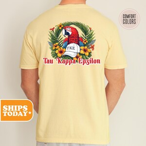 Tau Kappa Epsilon Springbreak Comfort Colors Fraternity T-shirt | TKE Greek Letters | Fraternity Gifts | Fraternity Apparel