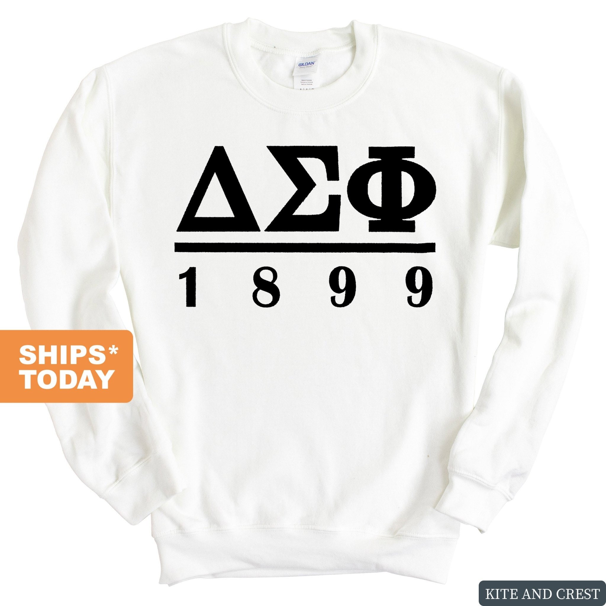 delta sigma phi sweatshirt