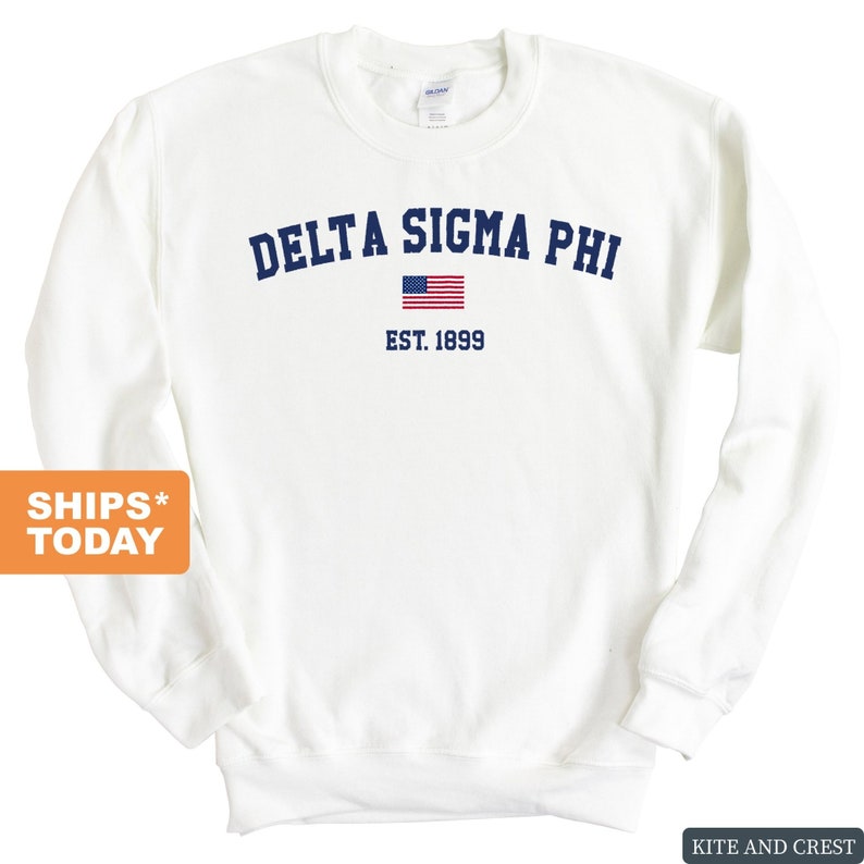 delta sigma phi sweatshirt