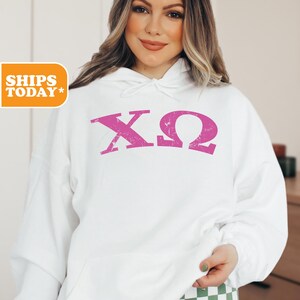 Chi Omega Sorority Sweatshirt | Chi O Crewneck Sweatshirt | Big Little Reveal | Sorority Letters | Greek Gifts | Pink Hoodie | _ Pink Arch_