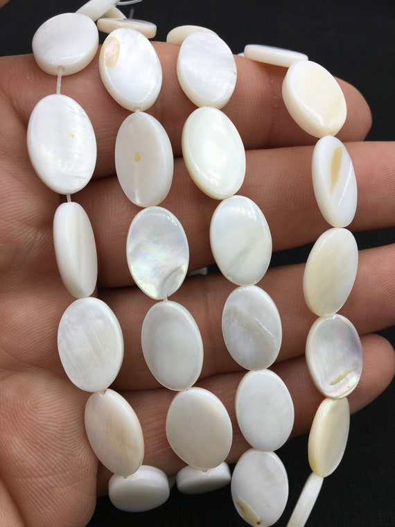 Shell Beads Ivory Shell Beads Ivory