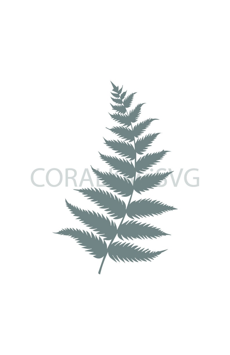 Download Stylised/realistic Silver Fern SVG New Zealand ferns | Etsy