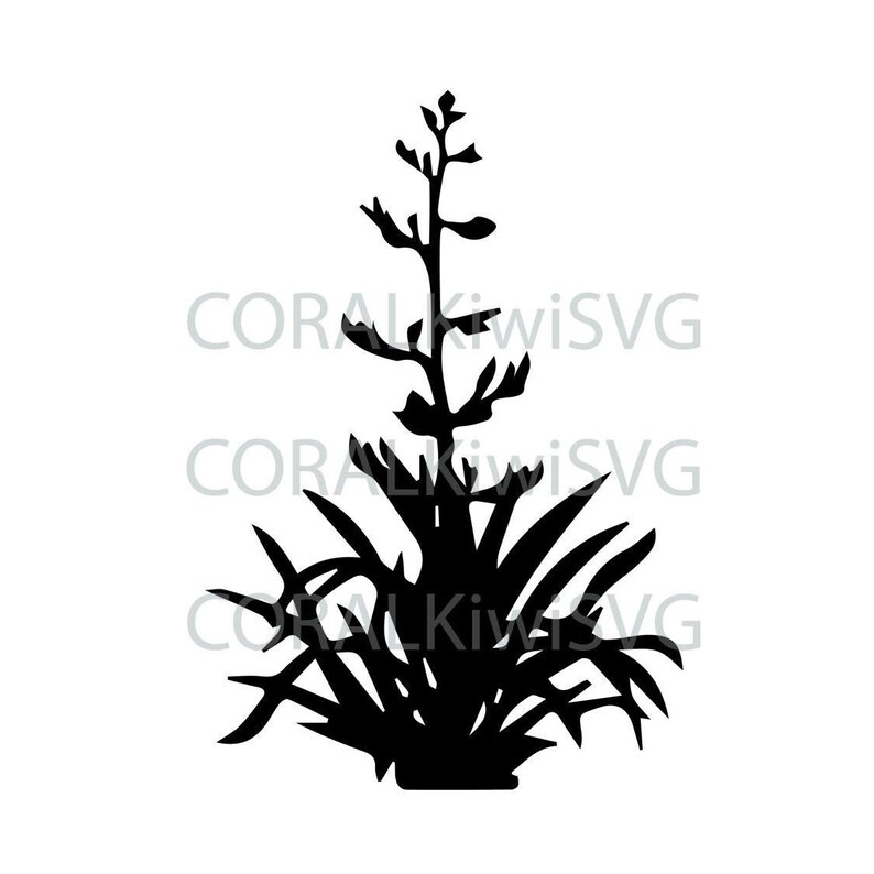 Download NZ Flax SVG New Zealand native plant harakeke maori | Etsy