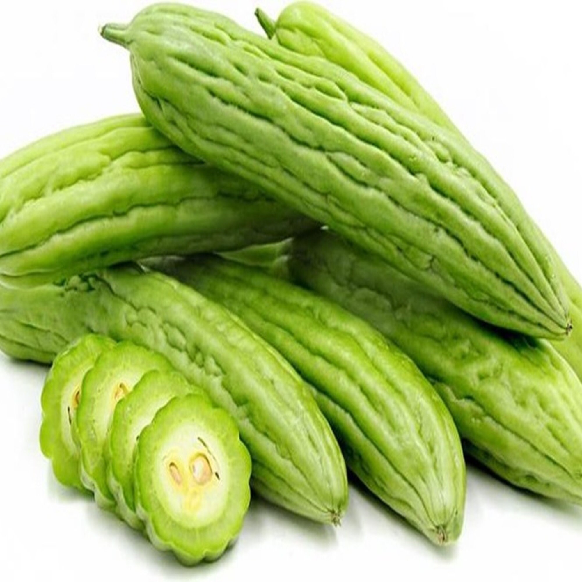 10 Bitter Melon Gourd Ampalaya 10 Seeds Bitter Gourd Seeds Etsy