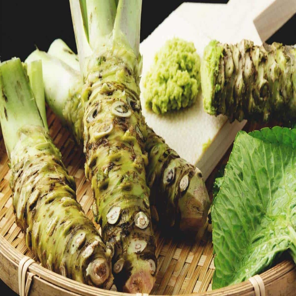 200 Seeds Wasabi Seeds Japanese Horseradish Seeds Vegetable Etsy