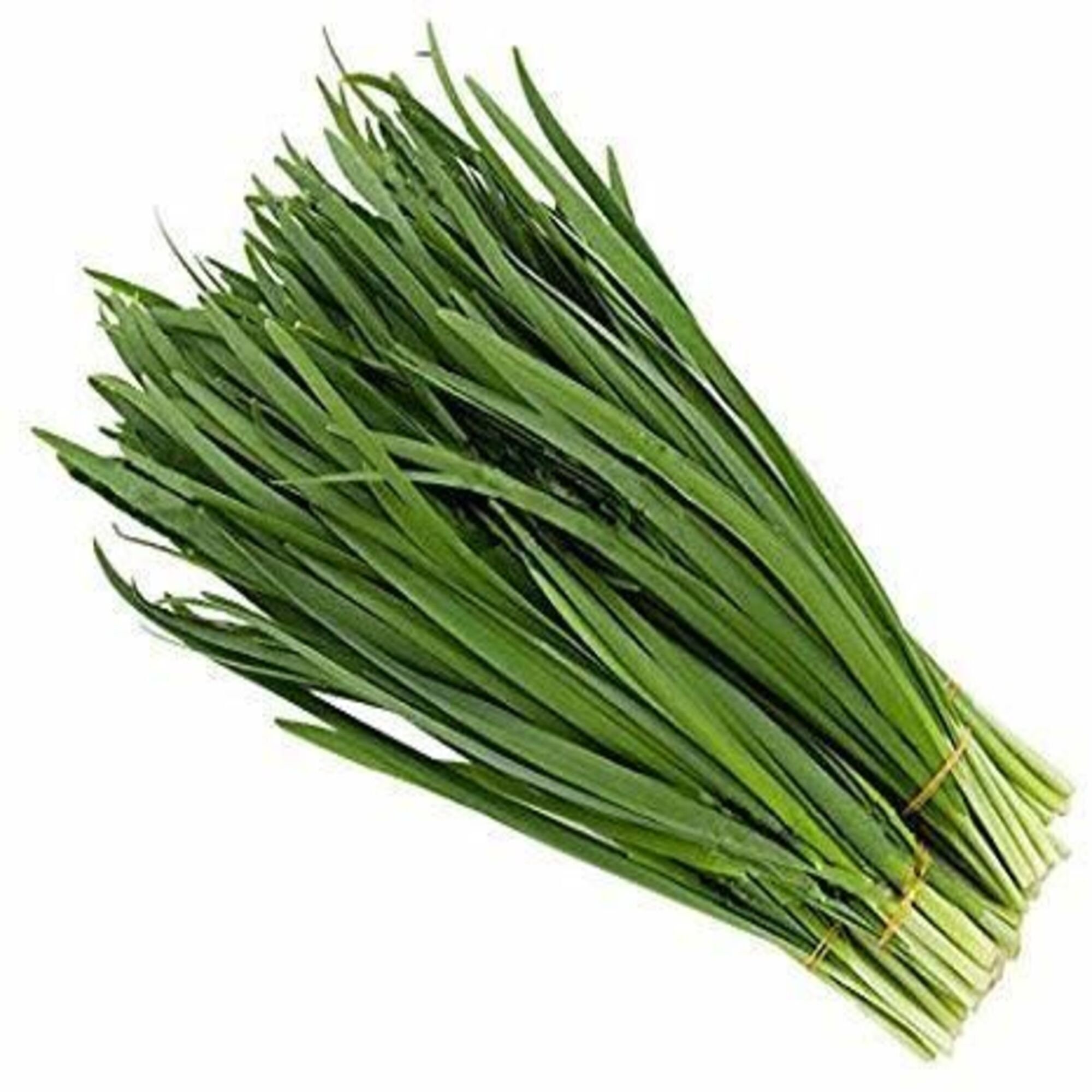 Garlic Chives Seeds Chinese Chives Pure Natural Green Etsy
