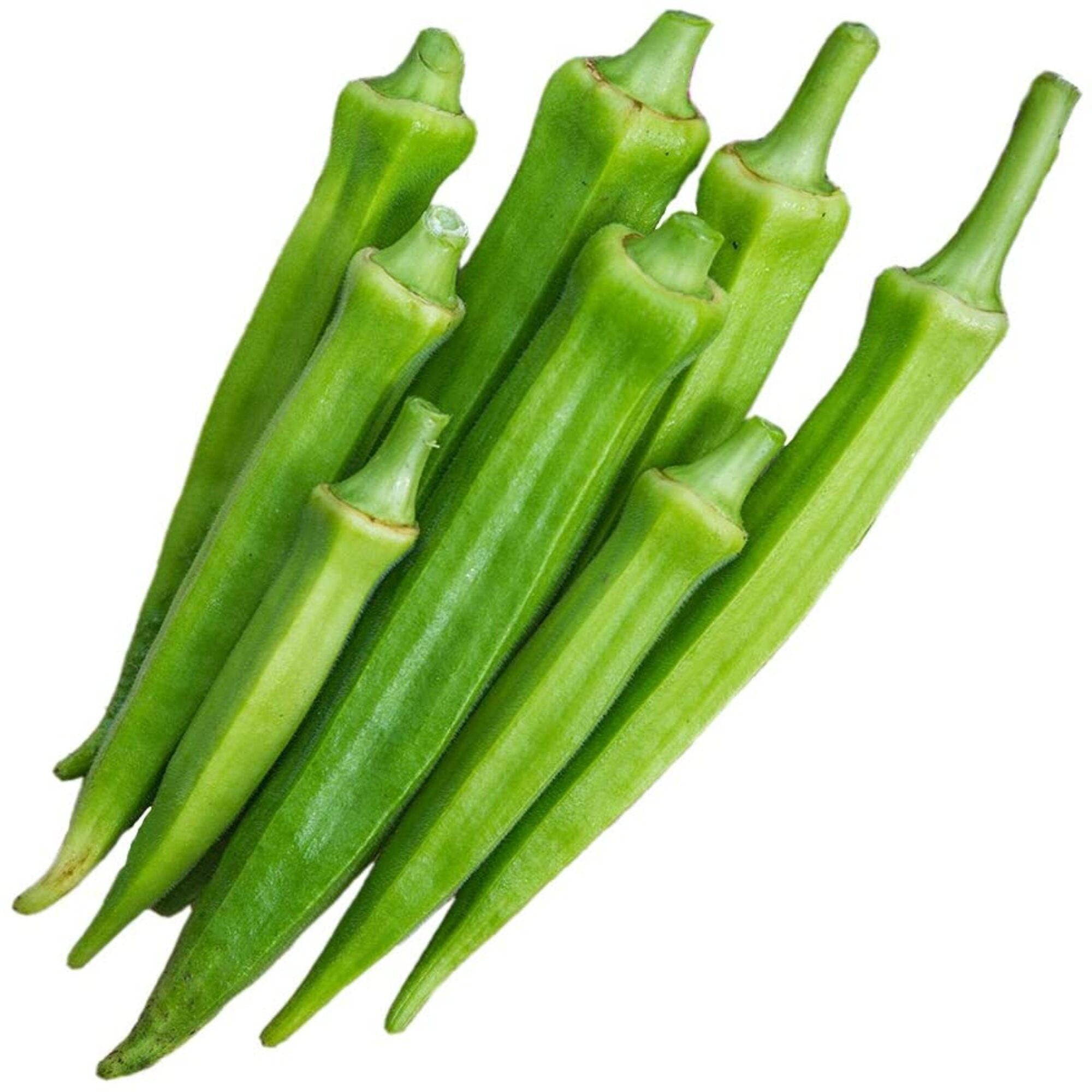 Emerald Okra Seeds for Planting NonGMO Heirloom Packet with Etsy