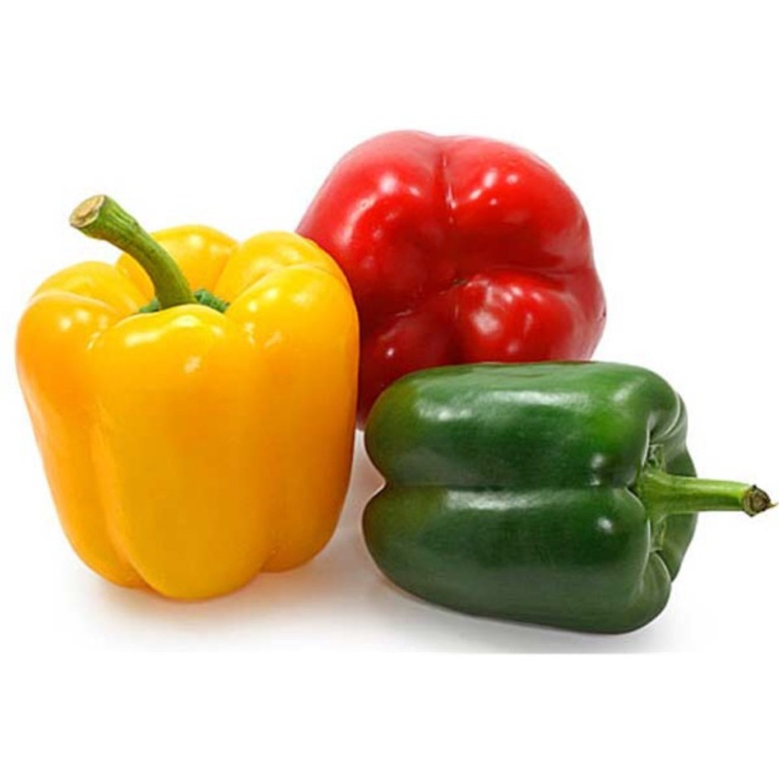 Bell Pepper Seeds for Planting Home Garden 100 Heirloom Etsy