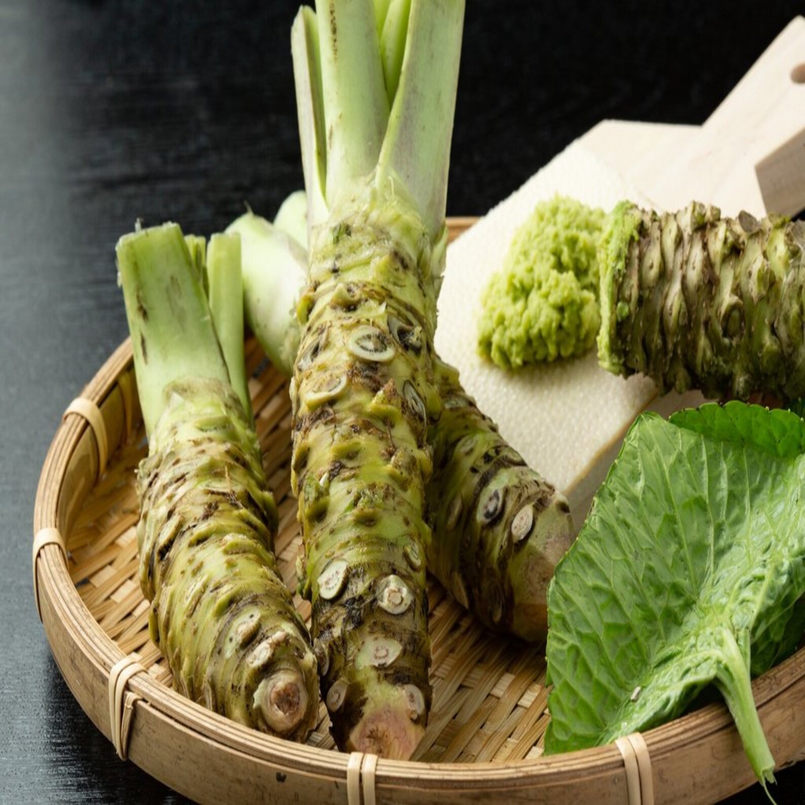 Hot Wasabi Seeds 200pcs/bag Japanese Horseradish Seeds Etsy