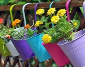 Hanging flower Pots Hook - Hang to fence, wall, standing pots Garden decor, Succulents, potted plants, dried flowers indoor outdoor bucket