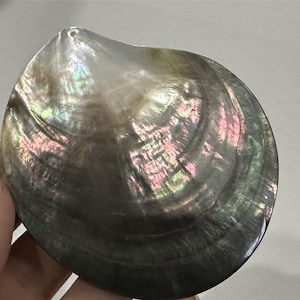 2pcs No Perforated Tahitian Oyster,8cm Big Shells Crafts,Tahitian Blacklip Mother of Pearl Whole Shell Natural Seashell,Shell Beach Craft
