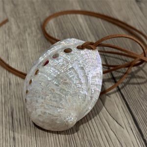 Natural Shell Necklace, SeaShell Chunky Necklace, Shell Pendant Choker, Stunning Statement Necklace, Beach Necklace, Seashell Jewelry