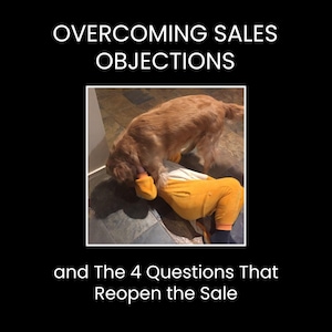 Peut inclure: Image avec le texte "OVERCOMING SALES OBJECTIONS" et "and The 4 Questions That Reopen the Sale". Un chien golden retriever interagit de manière ludique avec une personne portant une combinaison jaune.