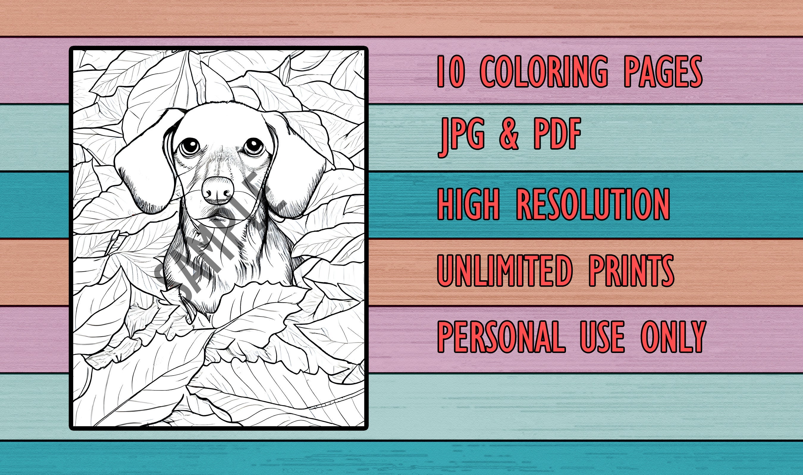 Dachshund Coloring Pages (set 1), Dog Coloring Pages for Adults, Dog ...