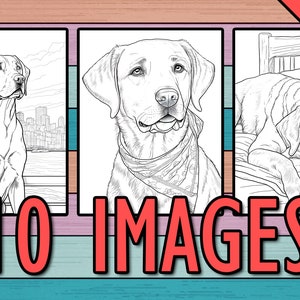 Labrador coloring pages (set 1), Dog coloring pages for adults, Dog coloring pages printable, Labrador coloring book, Stress relief