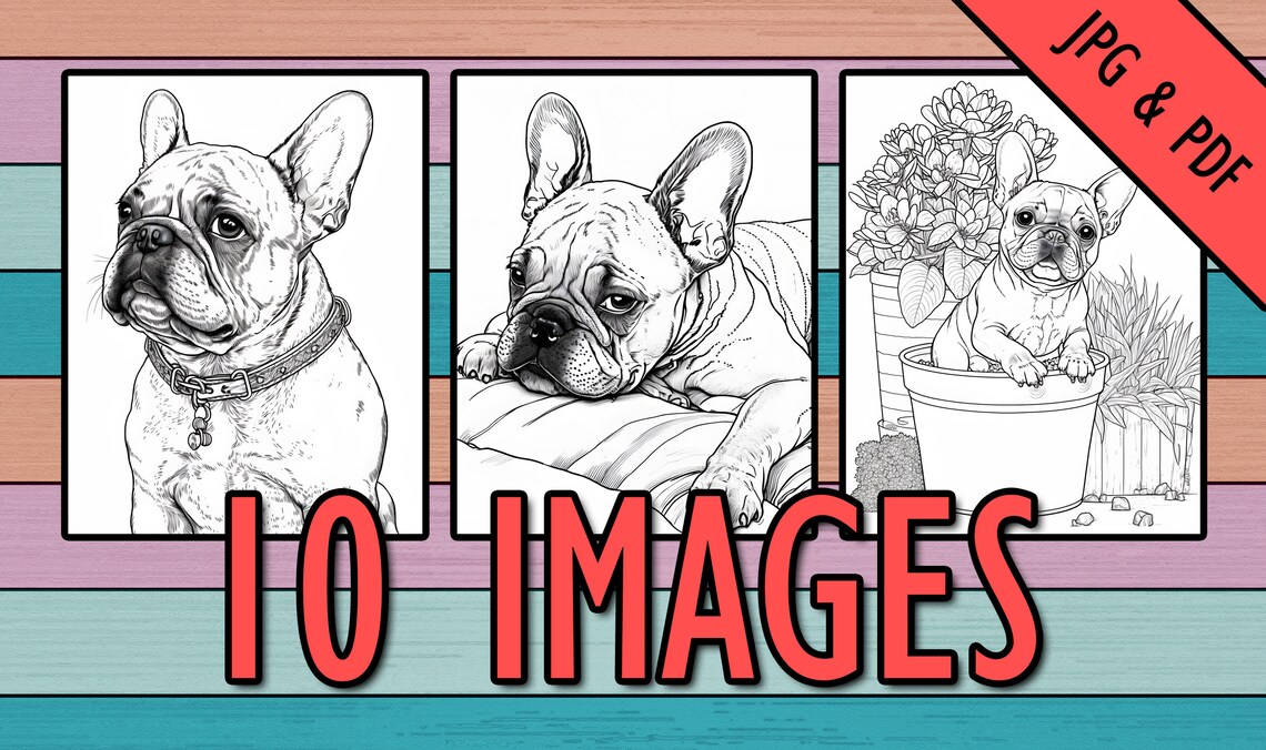 French Bulldog Coloring Pages set 1, Dog Coloring Pages for Adults, Dog