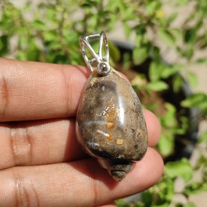 Peut inclure: Un pendentif en argent avec une coquille fossilisée à motif marbré brun et blanc. Le pendentif est attaché à une bélière en argent.
