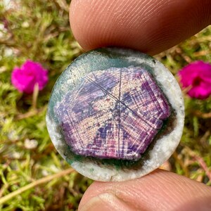 K&ouml;nnte beinhalten: Ein runder, polierter Edelstein mit einem auff&auml;lligen lila und wei&szlig;en Muster. Der Edelstein wird zwischen Fingern gehalten, mit einem Hintergrund aus gr&uuml;nem Laub und leuchtend rosa Bl&uuml;ten. Das Design des Steins &auml;hnelt einem Querschnitt von Holz.