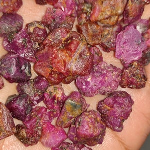 May include: A close-up of a pile of rough, red ruby gemstones. The rubies are various sizes and shapes, with a deep red color and a slightly translucent appearance.