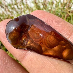 May include: A polished fire agate gemstone with a smooth, irregular teardrop shape. The stone features deep translucent brown and amber tones with iridescent, glowing orb-like inclusions that shimmer in shades of orange and gold under light.