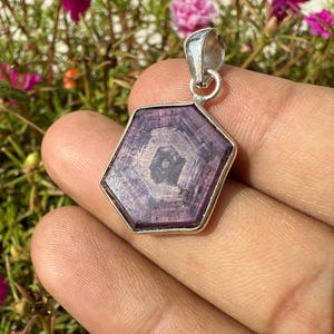 Puede incluir: Un colgante hexagonal con una fianza plateada. El colgante presenta una gema grande de color rojo púrpura con un patrón en forma de estrella en el centro. El colgante se sostiene en una mano, con un fondo borroso de follaje verde y flores coloridas.