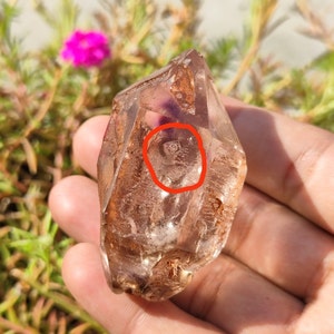 ENHYDRO SUPER SEVEN Quarz - Bewegliche Wasserblase - Rauchquarz, Amethyst, Cacoxenit, Rutil, Goethit und Lepidocrocit - Melodie Quarz