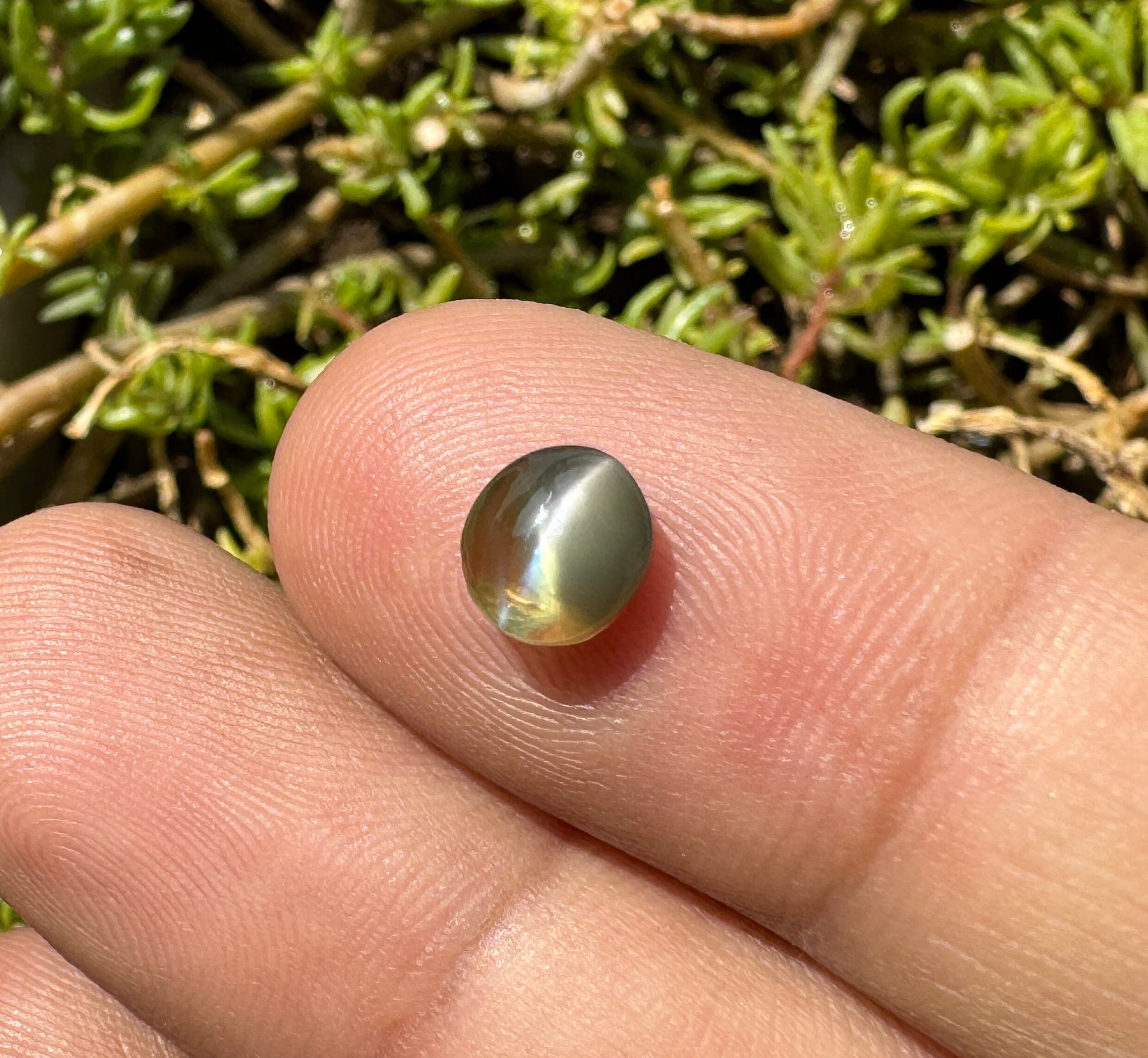 Chrysoberyl necklace shop