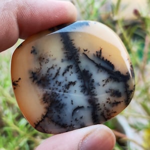 May include: A polished, rounded gemstone with a unique dendritic pattern. The stone features a creamy beige and white base, with intricate black, tree-like inclusions. The smooth surface reflects light, highlighting the natural design.