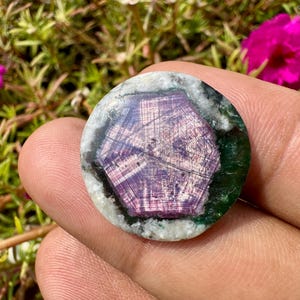 K&ouml;nnte beinhalten: Ein runder Edelstein mit einem auff&auml;lligen sternartigen Muster in Lila und Wei&szlig;, eingefasst von einem dunkelgr&uuml;nen und wei&szlig;en Rand. Der Edelstein wird in einer Hand gehalten, mit leuchtend rosa Bl&uuml;ten und gr&uuml;nem Laub im Hintergrund.
